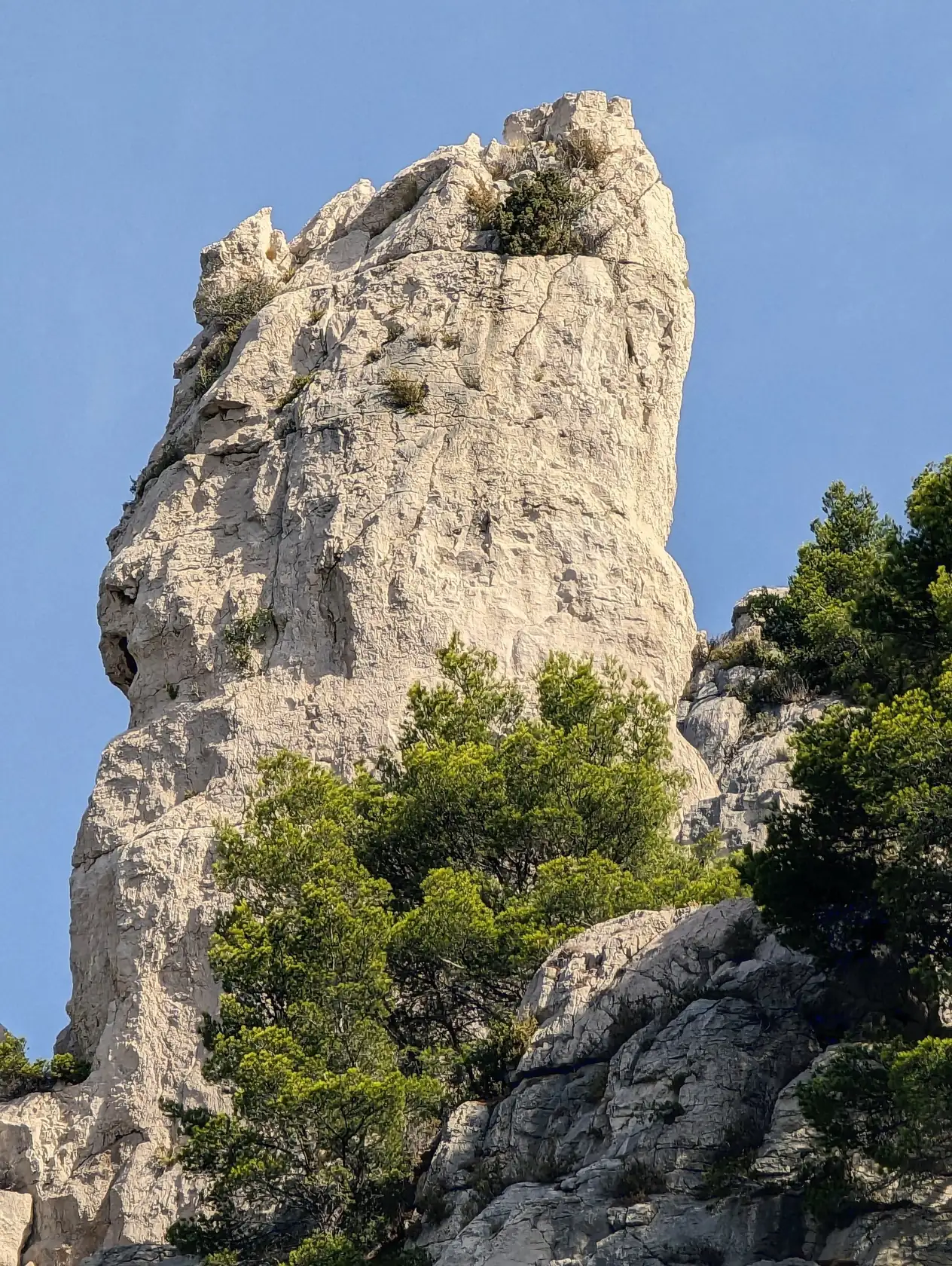 Cassis, Provence